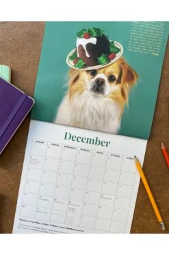 Haute Dogs Calendar 2024 -Lock & Co. Hatters HAUTE DOGS CALENDAR 2024 4