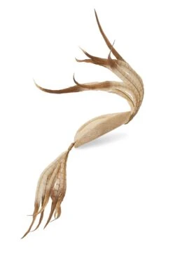 Lapsang Natural Percher Hat -Lock & Co. Hatters LAPSANG NATURAL 1