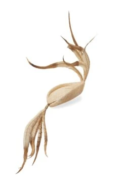 Lock & Co. Hatters -Lock & Co. Hatters LAPSANG NATURAL 2